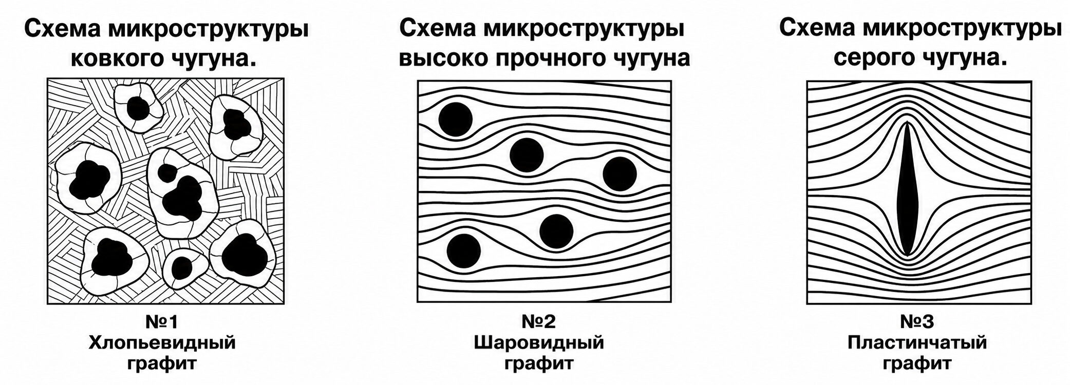 Схема микроструктуры чугуна